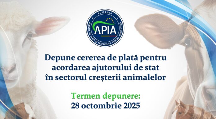 APIA: 28 octombrie, termen pentru crescătorii de animale