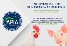 APIA: 31 octombrie, termenul final pentru documentele DR 06