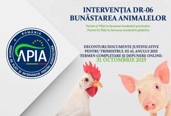 APIA: 31 octombrie, termenul final pentru documentele DR 06