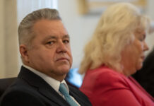 Fostul șef al ANRE, Niculae Havrileț, nu crede că fără termocentrale România ar avea de suferit