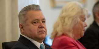 Fostul șef al ANRE, Niculae Havrileț, nu crede că fără termocentrale România ar avea de suferit