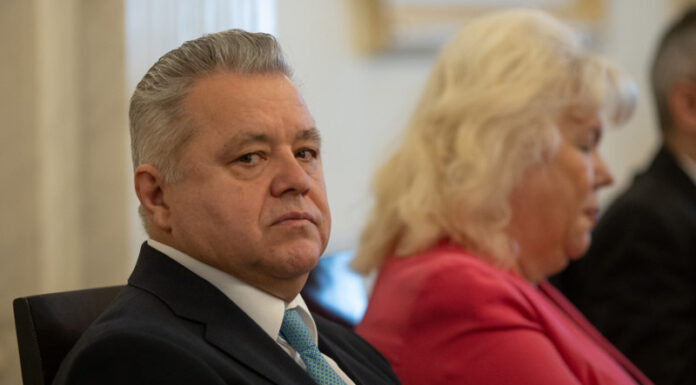 Fostul șef al ANRE, Niculae Havrileț, nu crede că fără termocentrale România ar avea de suferit