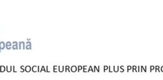 E-Skill – Abilități digitale pentru piața muncii – COD SMIS 334321