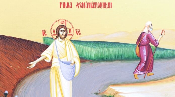 Viaţa Spirituală – Calea, Lumina, Adevărul şi Viaţa – Dumnezeu ne cere să avem cea mai mare grijă, ce facem cu această sămânţă, să lucrăm bine sămânţa Lui cea bună, din inima Lui, care este sămânţa numită «Cuvânt»!