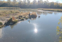 Poluare pe râul Jiu în județul vecin. Autoritățile îl caută pe poluator