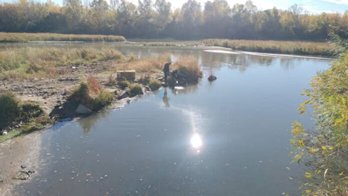 Poluare pe râul Jiu în județul vecin. Autoritățile îl caută pe poluator