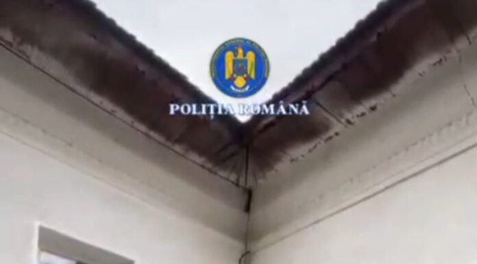 VIDEO: Reținut după ce și-a bătut soacra