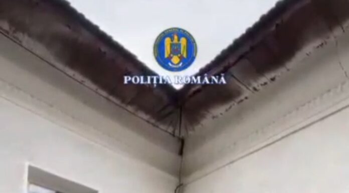 VIDEO: Reținut după ce și-a bătut soacra