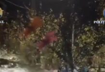 VIDEO: Trei arestări în cazul bebelușului „vândut” pentru 7.000 de euro