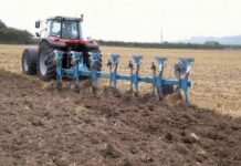 Agricultura pe înţelesul tuturor – Calendarul lucrărilor agricole în luna octombrie