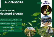 AJOFM Gorj anunță peste 350 de locuri de muncă în străinătate