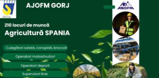 AJOFM Gorj anunță peste 350 de locuri de muncă în străinătate