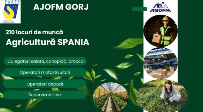 AJOFM Gorj anunță peste 350 de locuri de muncă în străinătate