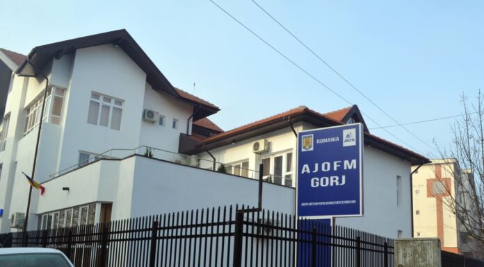 Două noi cursuri de formare profesională, demarate de AJOFM Gorj