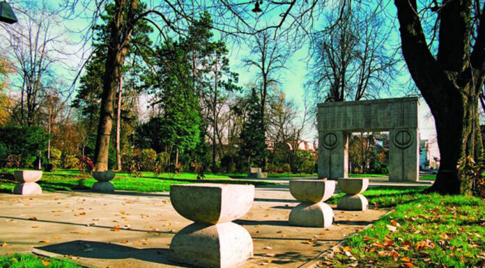 Anul Brâncuși, dat peste cap de restricțiile impuse de Guvern!