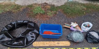 Percheziții la persoane acuzate de braconaj piscicol