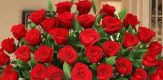 Întru cinstită neuitare, Domnului Redactor-Şef DUMITRU PRUNĂ!