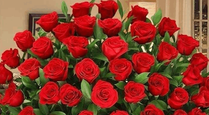 Întru cinstită neuitare, Domnului Redactor-Şef DUMITRU PRUNĂ!