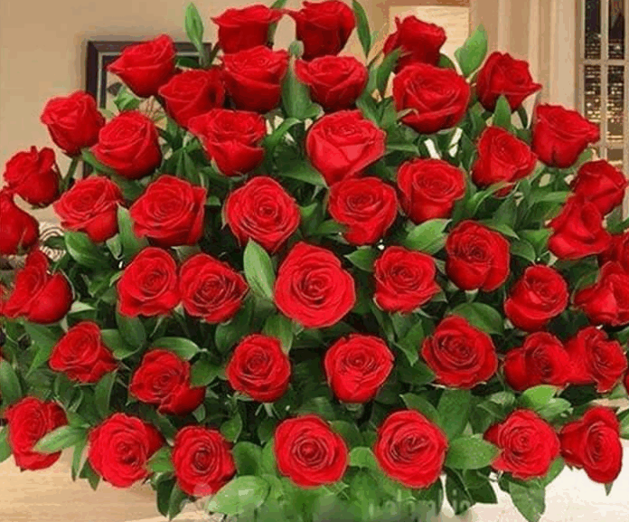 Întru cinstită neuitare, Domnului Redactor-Şef DUMITRU PRUNĂ!