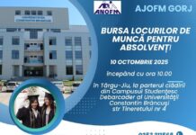 Târgu Jiu: Peste 500 de joburi oferite la Bursa pentru Absolvenți