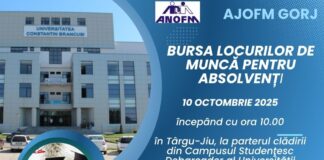 Târgu Jiu: Peste 500 de joburi oferite la Bursa pentru Absolvenți