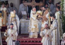 Din trăiri, prin „înălțimi”!