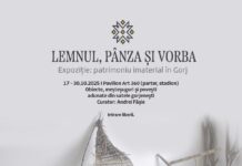 Expoziția ,,Lemnul, pânza și vorba”, inaugurată astăzi la sediul PavilionArt360