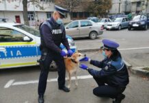 Bilanțul polițiștilor de la Protecția Animalelor: Cinci bărbați reținuți și amenzi de aproape 35.000 de lei