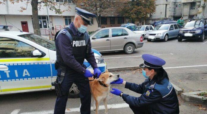 Bilanțul polițiștilor de la Protecția Animalelor: Cinci bărbați reținuți și amenzi de aproape 35.000 de lei