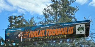 Mii de oameni la Festivalul Tocanului de la Novaci!