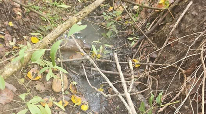 Firmă din Cărbunești amendată cu 30.000 de lei