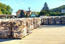 Romsilva oferă două milioane mc lemn de foc
