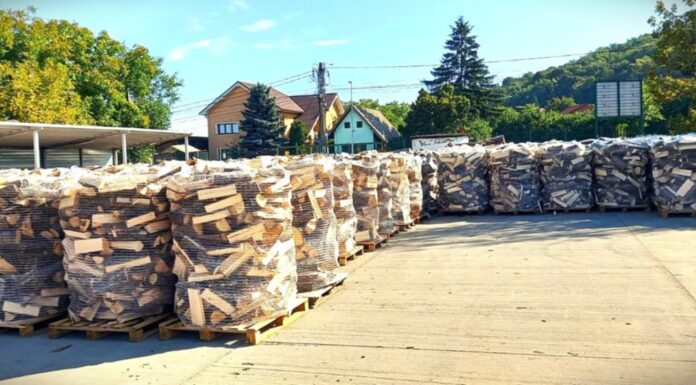 Romsilva oferă două milioane mc lemn de foc
