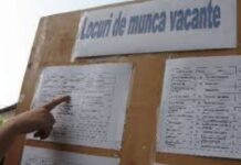 Primă lunară de până la 1.250 de lei pentru tineri. Proiect PSD