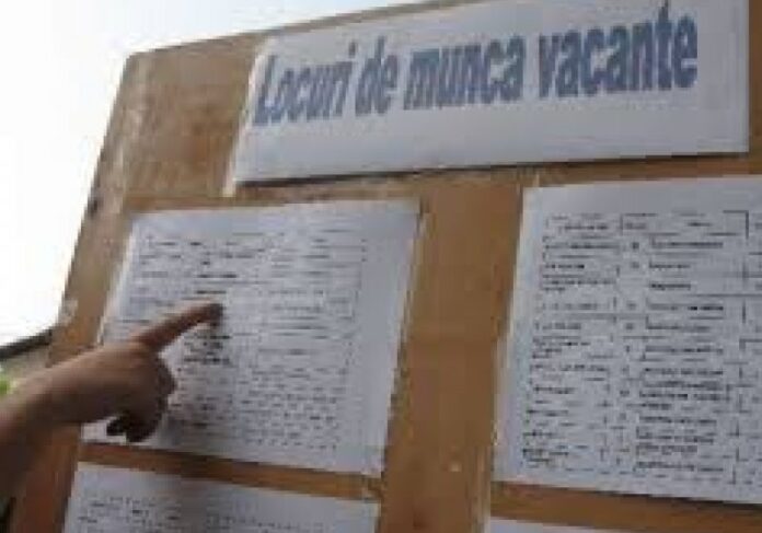 locuri de munca tineri