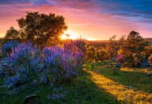 Noi, oamenii, nu ştim prea bine cum să-L vedem pe Dumnezeu – Tu, omule, mergi liniştit, va fi spre bine, şi când o să simţi întuneric să-ţi aminteşti că toţi suntem lumină!