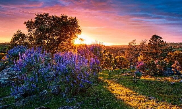 Noi, oamenii, nu ştim prea bine cum să-L vedem pe Dumnezeu – Tu, omule, mergi liniştit, va fi spre bine, şi când o să simţi întuneric să-ţi aminteşti că toţi suntem lumină!
