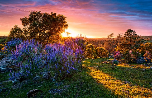Noi, oamenii, nu ştim prea bine cum să-L vedem pe Dumnezeu – Tu, omule, mergi liniştit, va fi spre bine, şi când o să simţi întuneric să-ţi aminteşti că toţi suntem lumină!