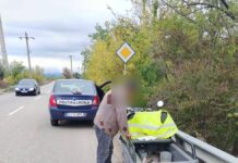 Prins în timp ce dezmembra bucăți din parapet