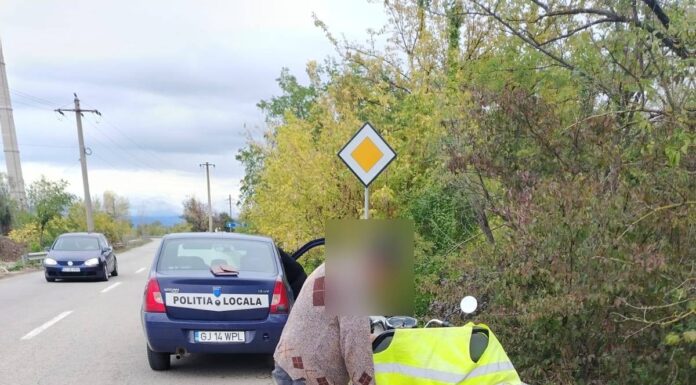 Prins în timp ce dezmembra bucăți din parapet