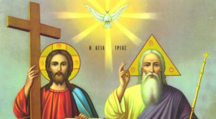 ,,Părinte, să nu fie cum vreau Eu, să fie cum vrei Tu!” – Prin pronie divină se pot cuprinde dimensiunile creaţiei strecurate în cuvântul omului, ca poruncă şi har de la Cuvântătorul principal, Care este numai Dumnezeu!