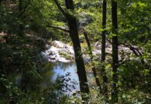 Nostalgii de toamnă – Călător în umbra Pietrei Cloșanilor