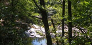 Nostalgii de toamnă – Călător în umbra Pietrei Cloșanilor