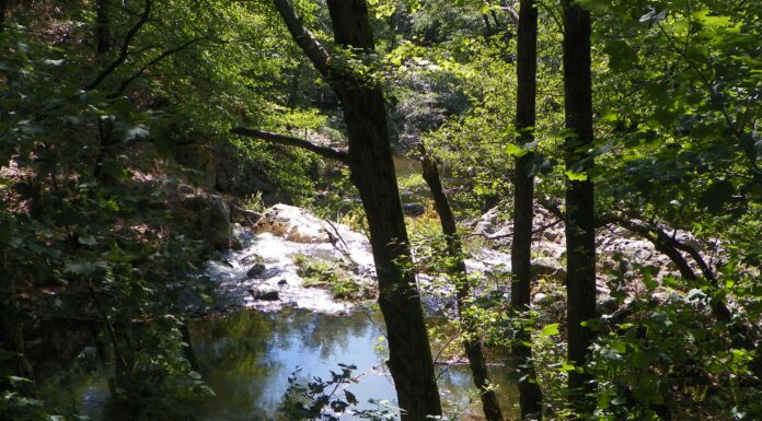 Nostalgii de toamnă – Călător în umbra Pietrei Cloșanilor