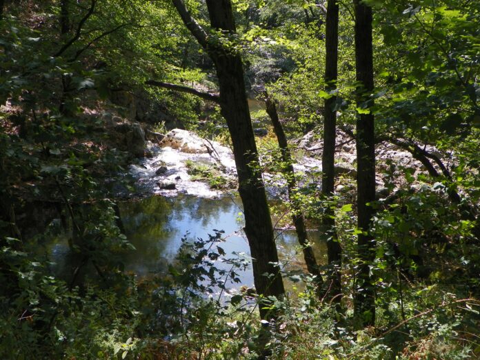 Nostalgii de toamnă – Călător în umbra Pietrei Cloșanilor