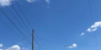 Poliția, în acțiunea „Focus on the road”