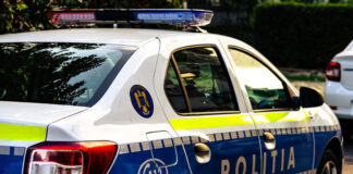 Gorjul pe radarul Poliției Române: persoane dispărute, condamnări și trafic de droguri