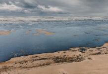 Hartă interactivă a poluării Mării Negre