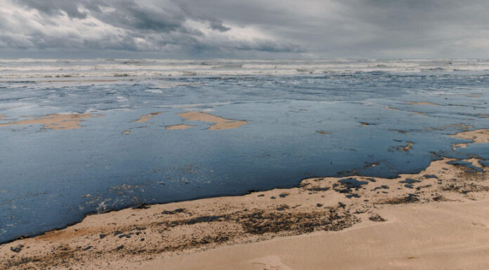 Hartă interactivă a poluării Mării Negre
