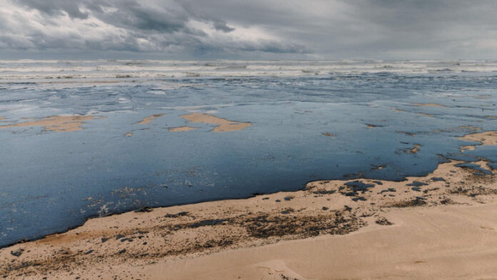 Hartă interactivă a poluării Mării Negre